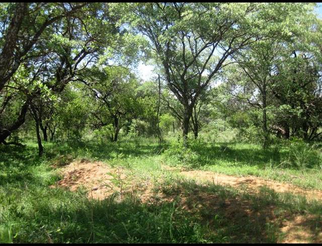 0 BEDROOM HOUSE FOR SALE IN DINOKENG GAME RESERVE